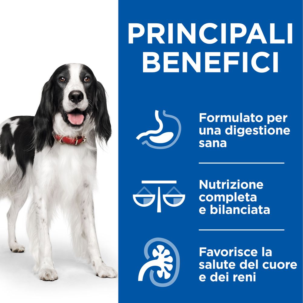 Hill's Science Plan Bocconcini Manzo Per Cani Adulti 370G, Atida