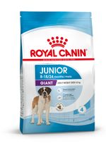 GIANT_Junior