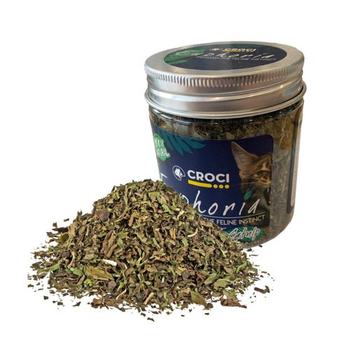 Barattolo  dI Catnip Euphoria 25G