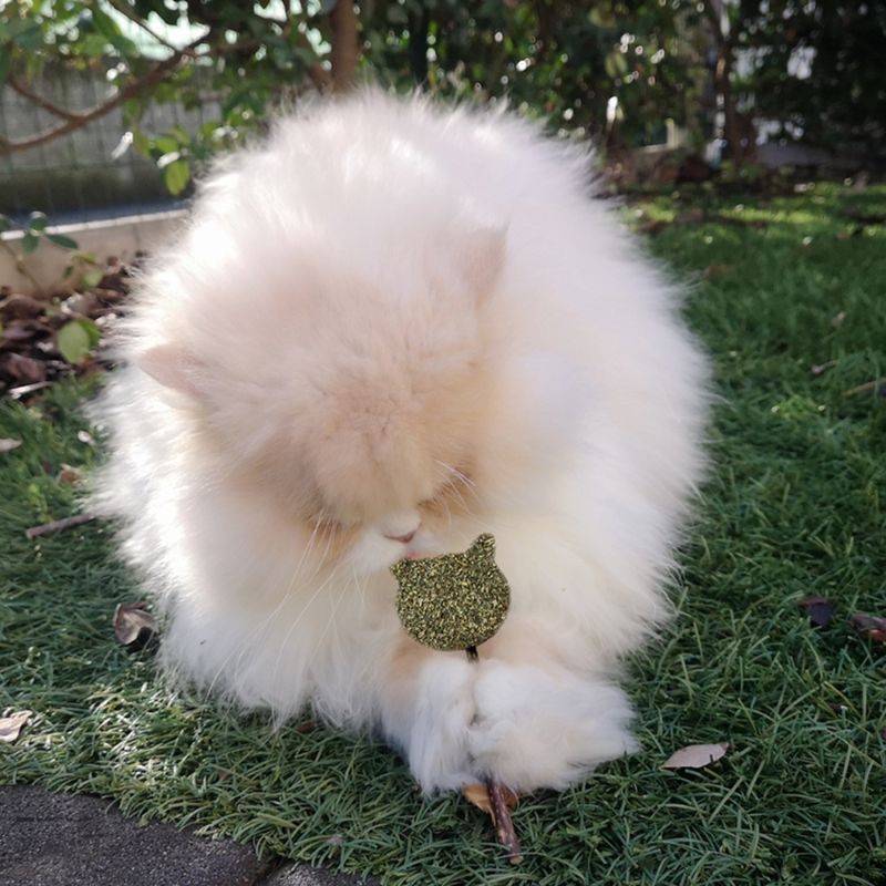 croci-euphoria-gioco-per-gatto-con-catnip