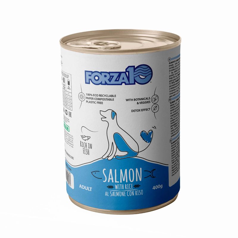 F10-DOG-GR.400-MAINTENANCE-SALMONE-RISO