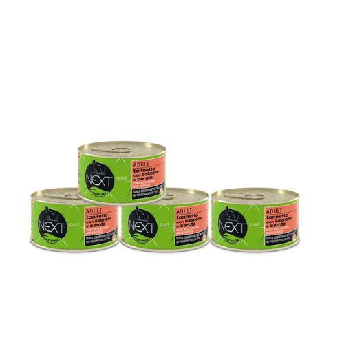 Next Natural Cat Lattina Multipack 4x150G