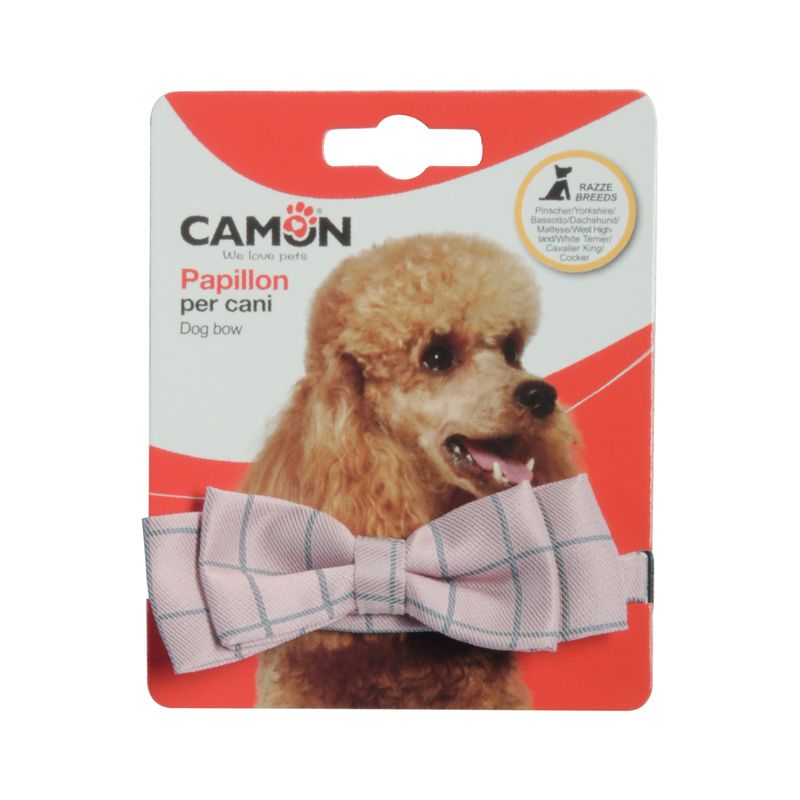 CAMON-PAPILLON-CANI-QUADRI--2-