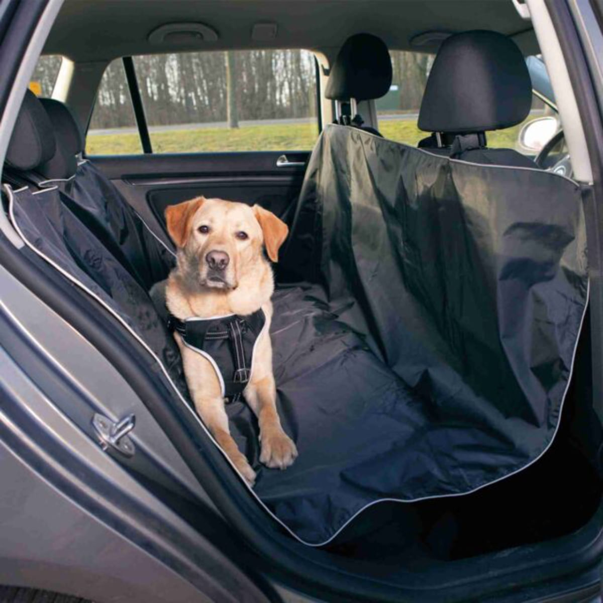 Coprisedile Posteriore per Auto: telo per trasportare il cane in macchina