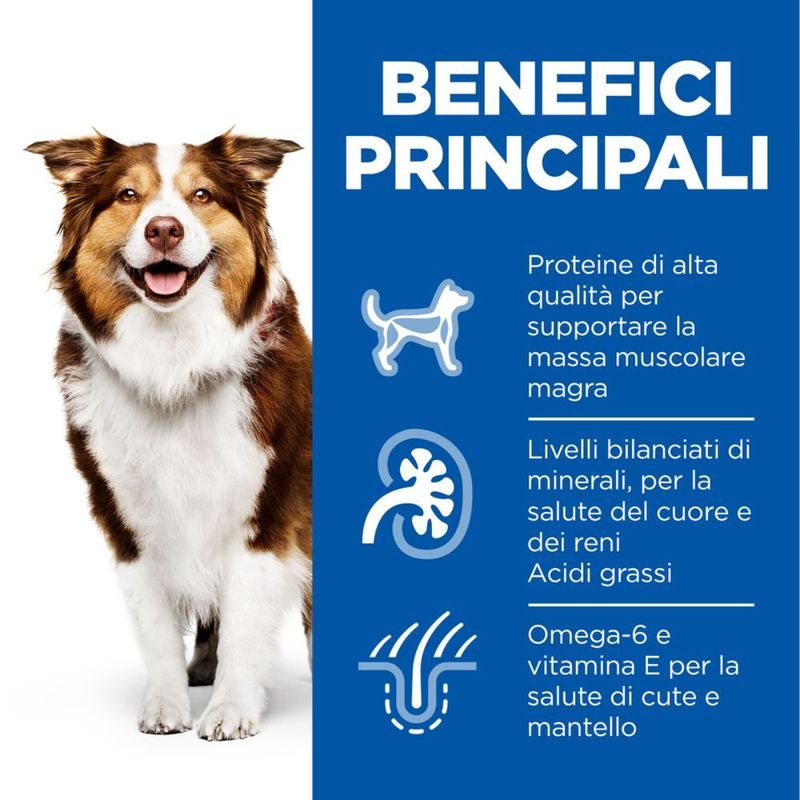 hills-science-plan-mature-adult-7--per-cane-benefici-principali