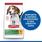 hills-science-puppy-medium-supporto-del-sistema