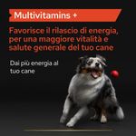 purina-pro-plan-supplement-multivitamin-per-cani-benefici