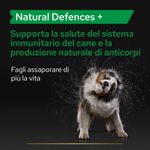 purina-pro-plan-supplement-natural-defences---per-cani