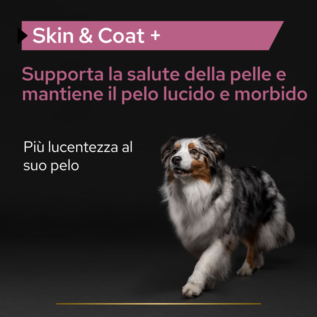 Purina Pro Plan Supplement Skin & Coat per Cani