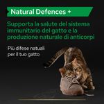 purina-pro-plan-natural-defences---per-gatti