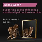 purina-pro-plan-skin-coat---per-gatti