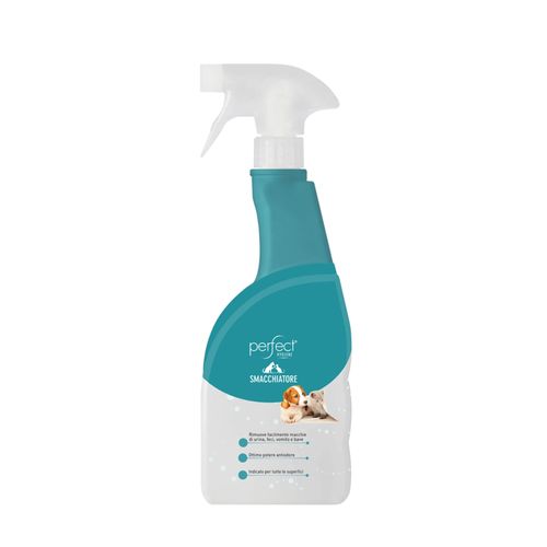 Smacchiatore Spray