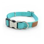 collare-fashion-2