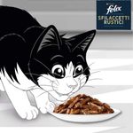 felix-sfilaccetti-rustici-fish-selection-per-gatto