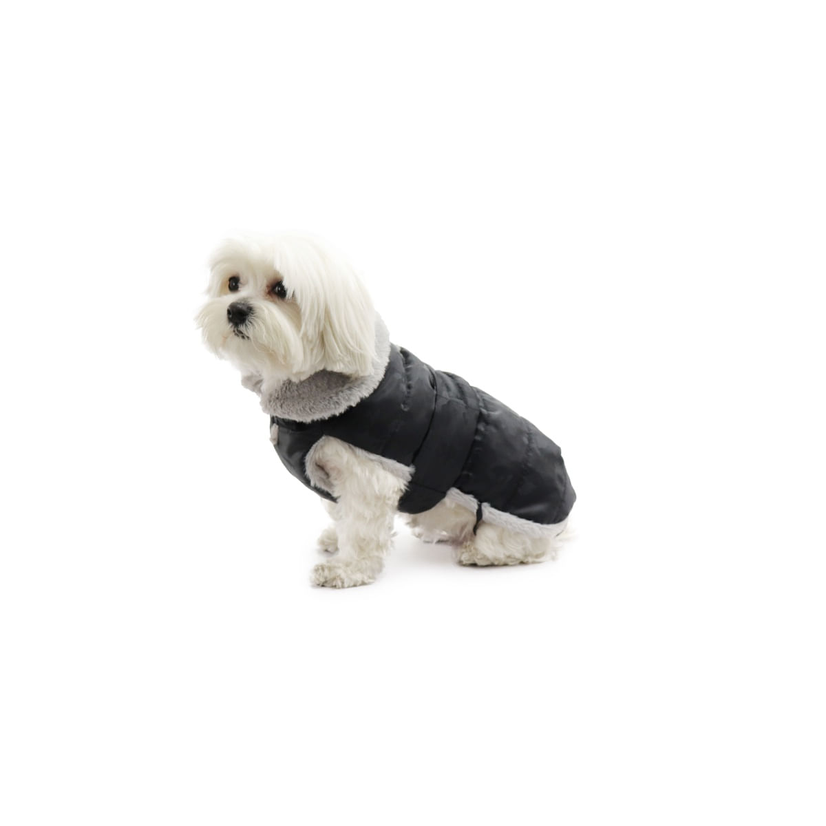 Cappottino cane abbigliamento cappotto per cani taglia piccola beige