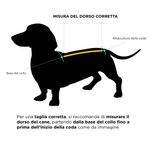 misura-dorso-cane