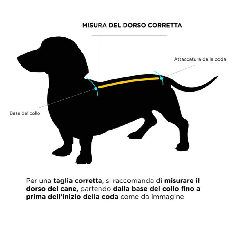 misura-dorso-cane