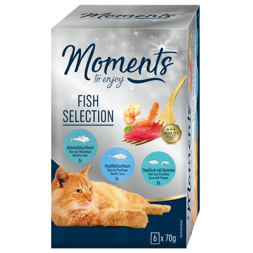 Moments Cat Busta Multipack 6x70G