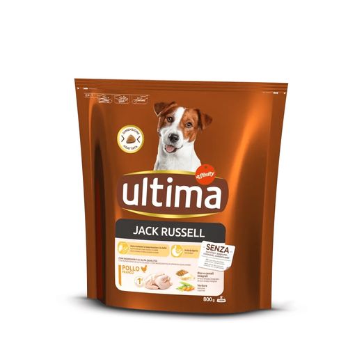 Ultima Dog Jack Russell con Pollo