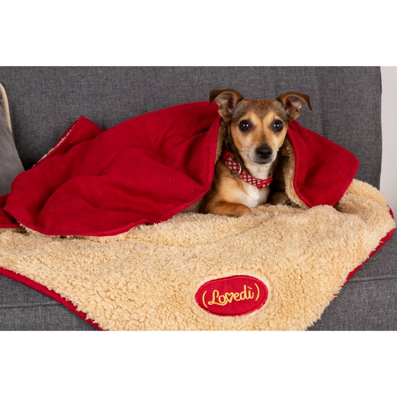 Lovedi-Burgundy-Snuggle-Blanket-LS1