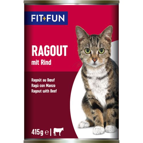Fit+Fun Cat Ragout Lattina 415G