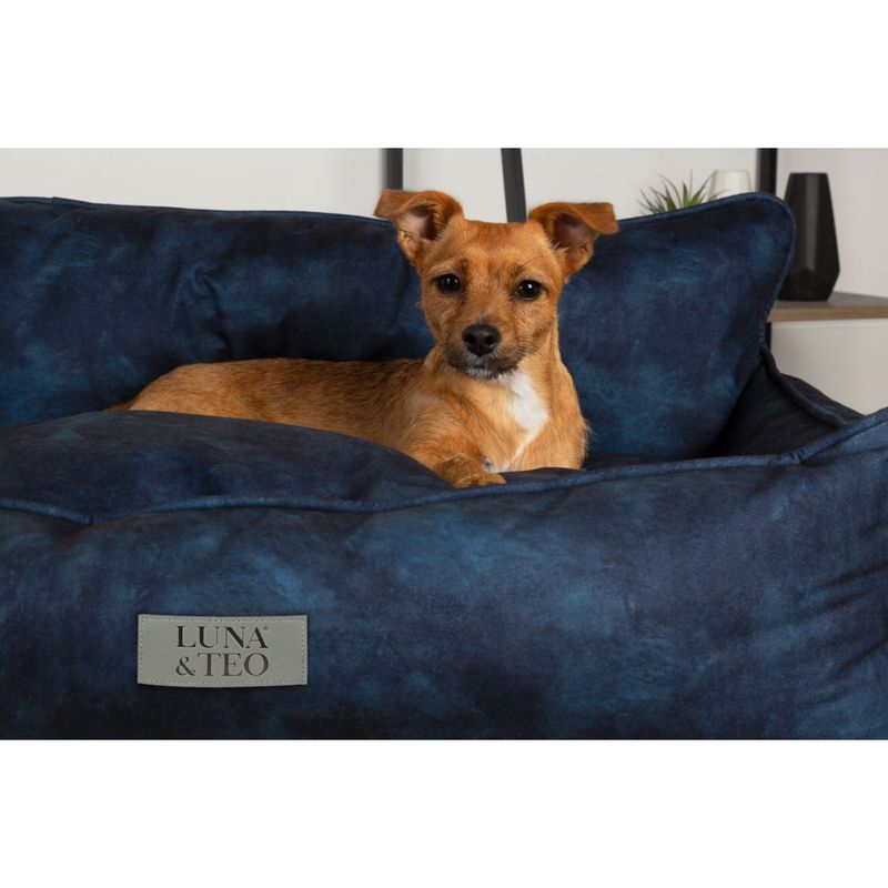 luna-e-teo-cuccia-royal-blu-cane-seduto