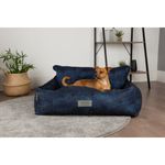 luna-e-teo-cuccia-royal-blu-cane