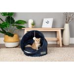 luna-e-teo-cuccia-ratto-royal-blu-gatto