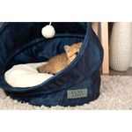 luna-e-teo-cuccia-ratto-royal-blu-gatto-piccolo