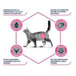 beneficios-urinary-feline_IT