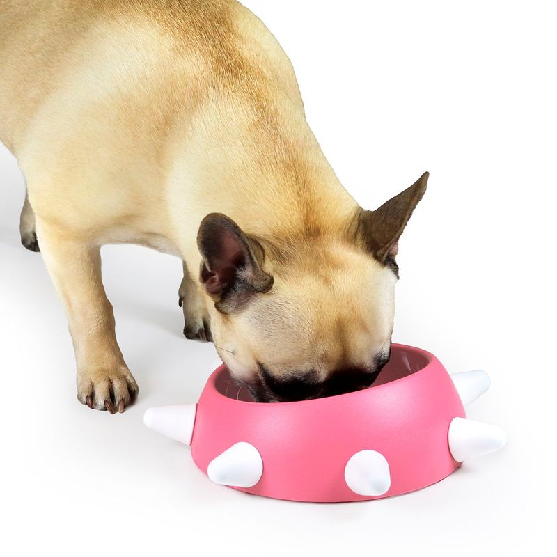 united-pets-ciotola-boss-piccola-per-cane-pesca1