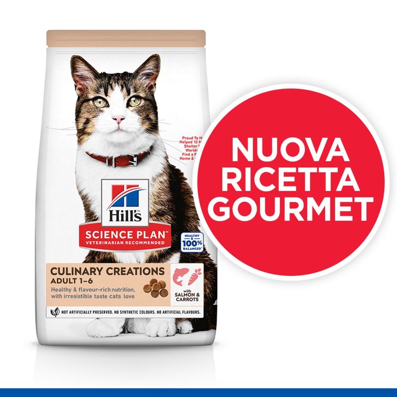 hills-science-plan-culinary-creations-adult-alimento-gatti-salmone-carote-nuova-ricetta