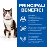 hills-science-plan-culinary-creations-adult-alimento-gatti-salmone-carote-benefici