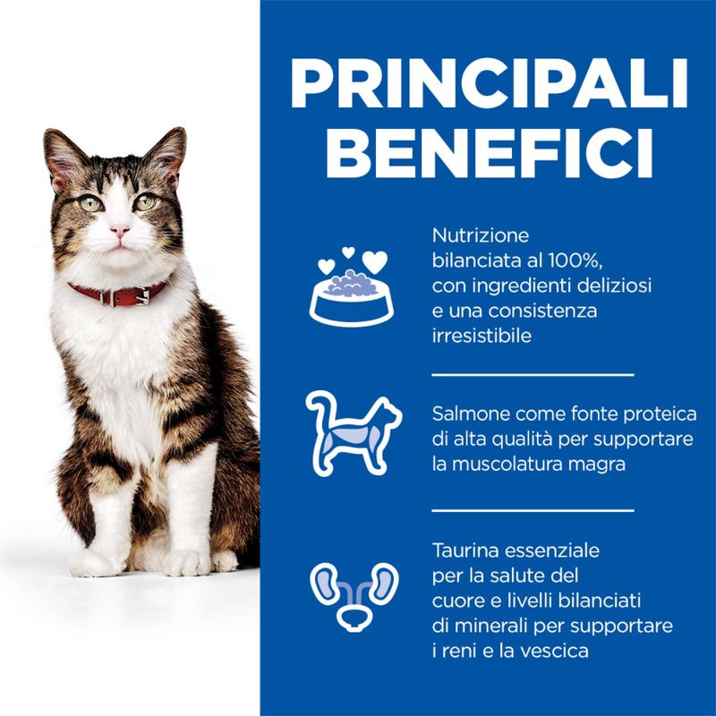 hills-science-plan-culinary-creations-adult-alimento-gatti-salmone-carote-benefici