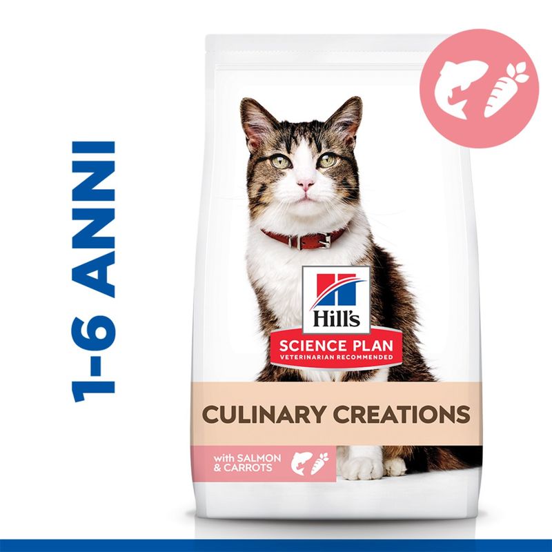 hills-science-plan-culinary-creations-adult-alimento-gatti-salmone-carote-1-6-anni
