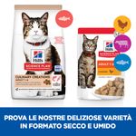 hills-science-plan-culinary-creations-adult-alimento-gatti-salmone-carote-secco-umido