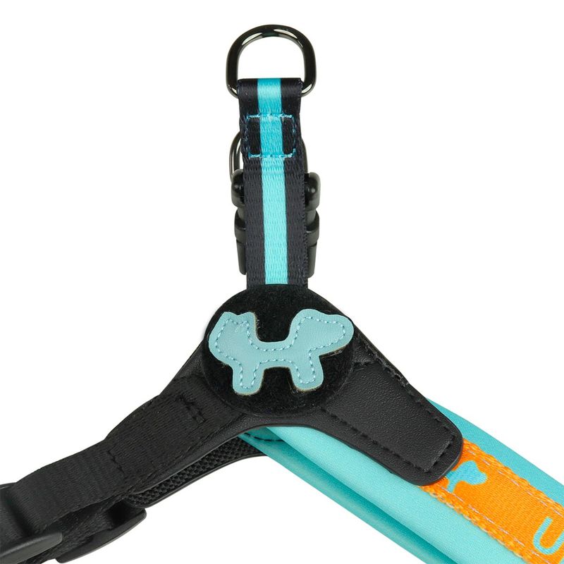 united-pets-pettorina-per-cane-complete-me-in-nylon-arancione-e-azzurra1