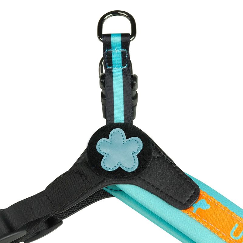 united-pets-pettorina-per-cane-complete-me-in-nylon-arancione-e-azzurra2