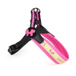 united-pets-pettorina-per-cane-complete-me-in-nylon-fucsia-e-gialla