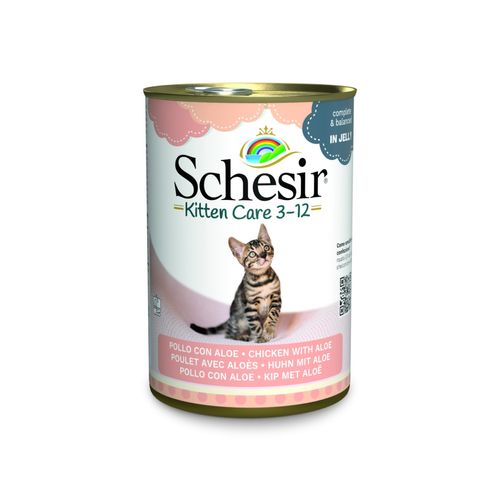 Schesir Kitten Care Lattina Multipack 24x140G