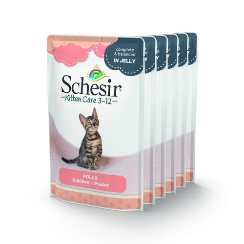 Schesir Kitten Care Busta Multipack 6x85G