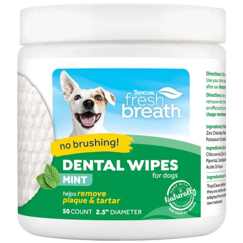 Salviette Dental Wipes