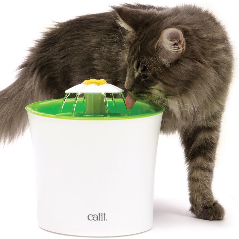 catit-fontaa-flower-gatto