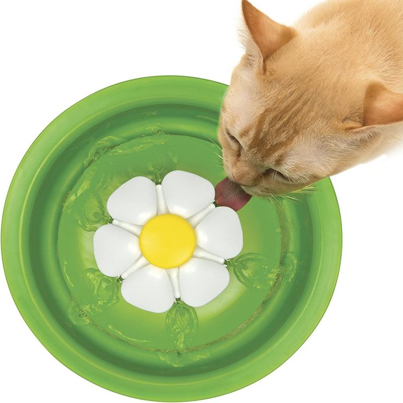 catit-fontana-flower-gatto-beve