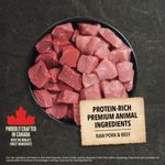 ACANA-Classics-Bowl-Image-Red-Meat-Recipe-Canada-English-EMEA-APAC