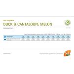 Tabella-pumpkin-anatra-melone-1-5kg