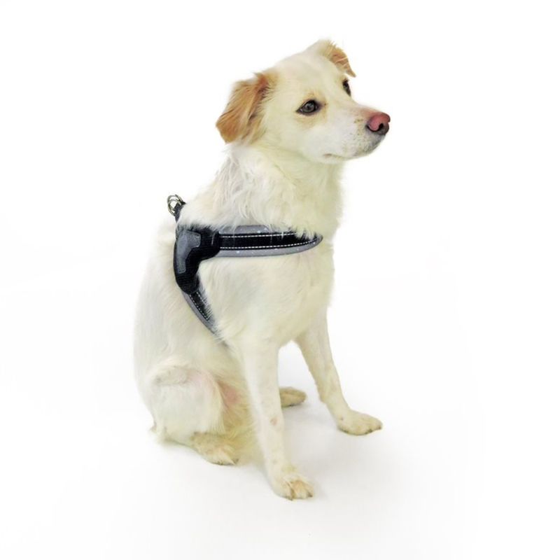 luna-e-teo-pettorina-per-cane-antracite-pois-in-plastica3