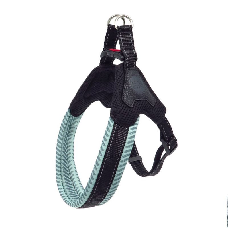 luna-e-teo-pettorina-per-cane-spighe-verde-acqua-regolabile