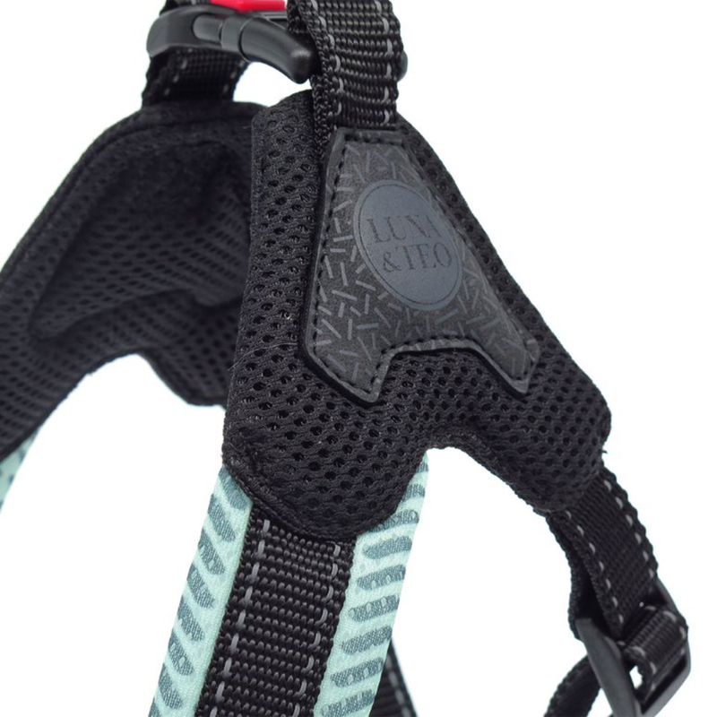 luna-e-teo-pettorina-per-cane-spighe-verde-acqua-regolabile1