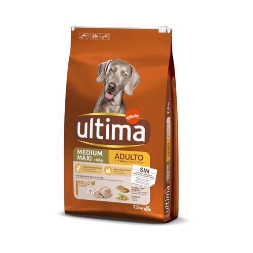 Ultima Dog Medium Maxi Adult con Pollo